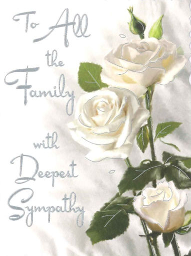 Picture of TO ALL THE FAMILY SYMPATHY CARD